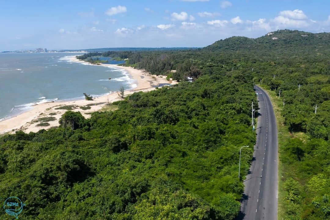 Cung đường di chuyển đến rừng rất nên thơ và lãng mạn