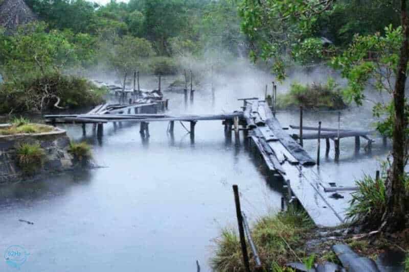 Vẻ đẹp kỳ bí của khu rừng