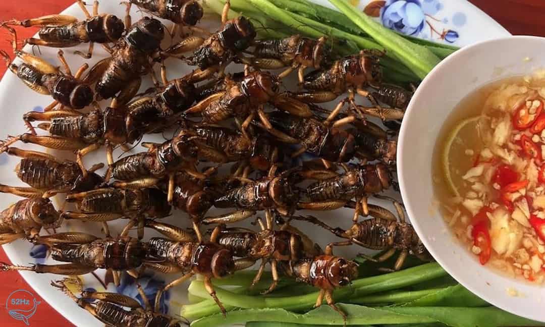 Đặc sản dế chiên của khu du lịch thác Đá Hàn
