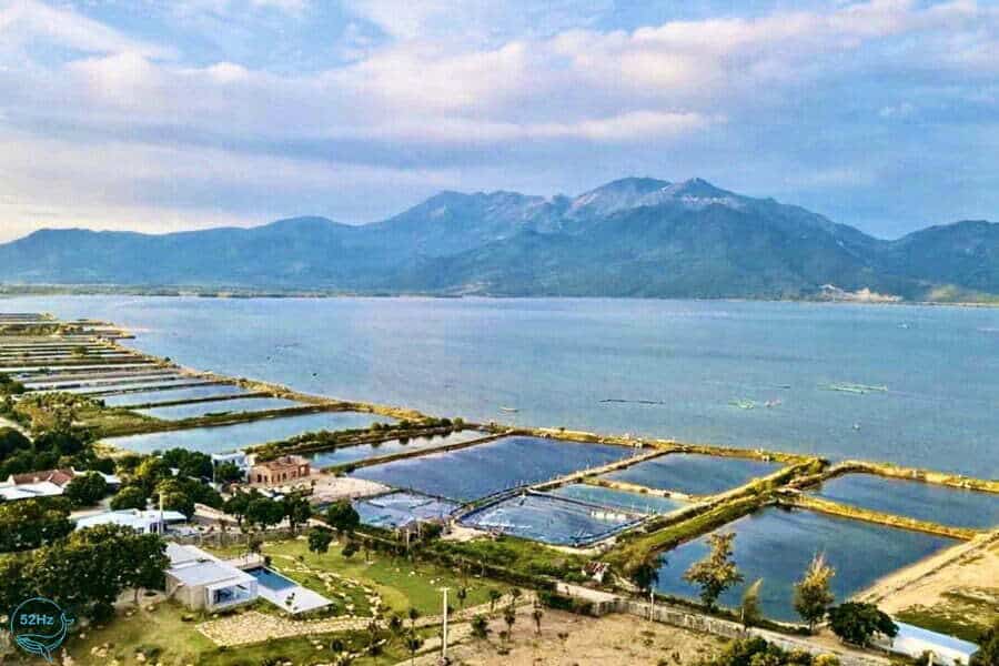 Giới thiệu Đầm Thủy Triều Nha Trang