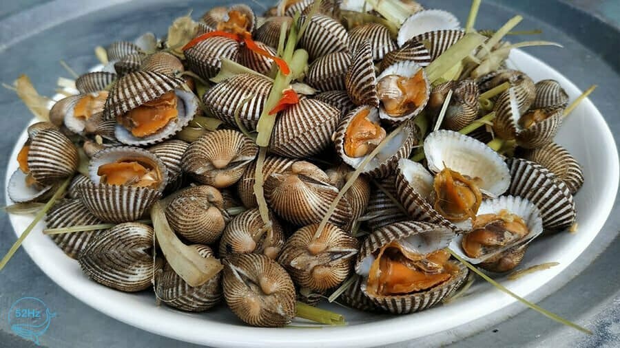 Sò huyết đầm Thủy Triều - đặc sản trứ danh của nơi đây