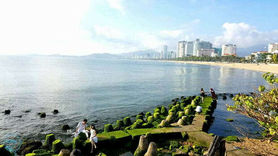Toàn cảnh tại bãi rêu Nha Trang vào mùa được nhiều nhiếp ảnh gia săn đón.