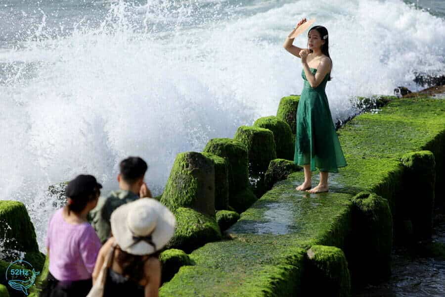 Bãi rêu Nha Trang - địa điểm chụp ảnh sống ảo được nhiều du khách yêu thích