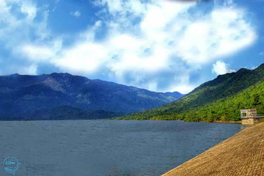 Trekking rừng nguyên sinh ven hồ
