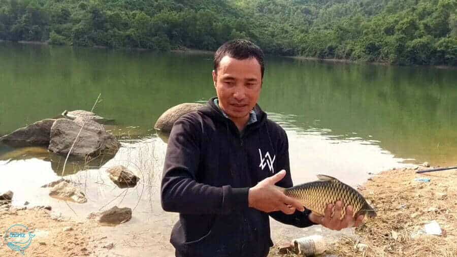 Câu cá tại hồ