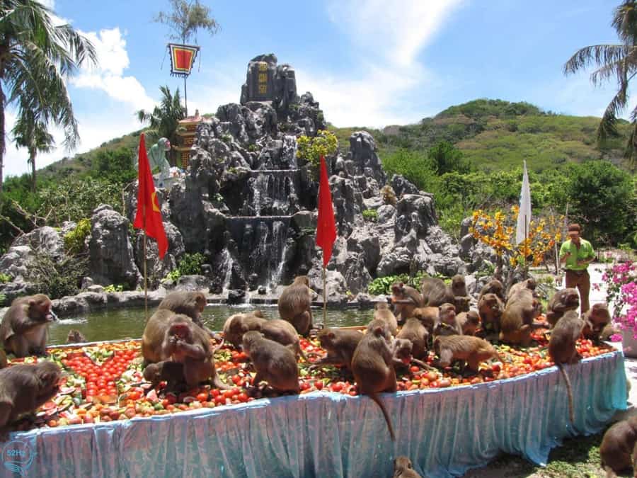 Giới thiệu đảo Khỉ Nha Trang