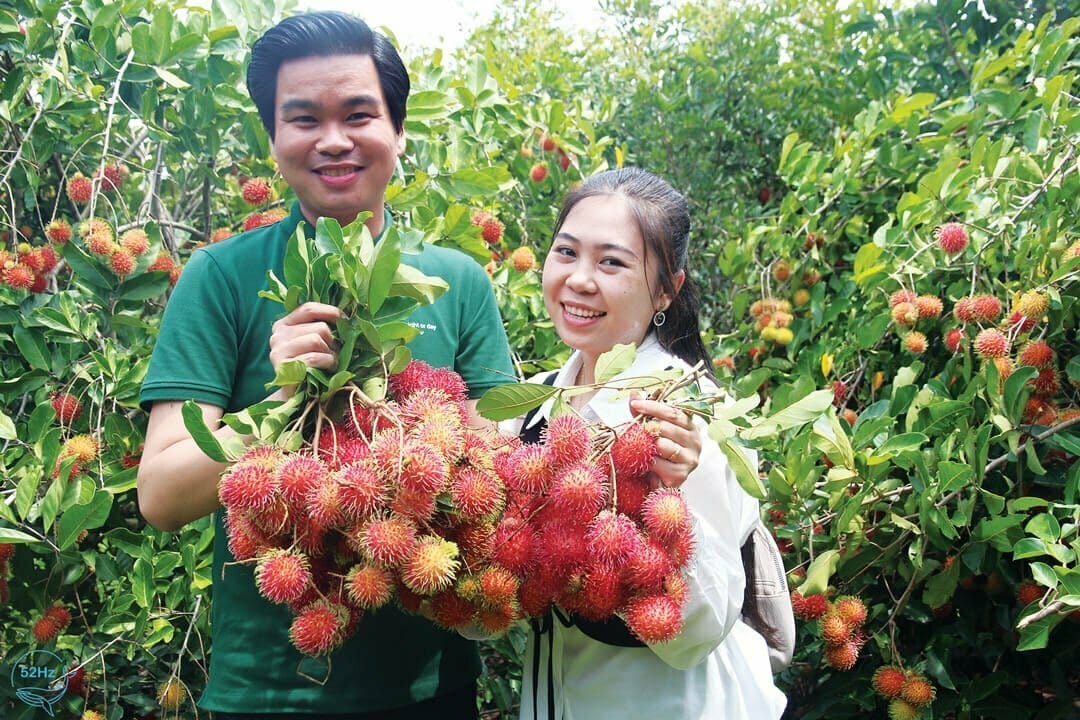 Vườn trái cây Trảng Bàng