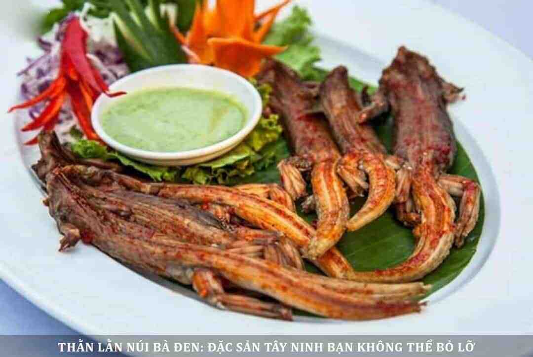 Thằn lằn núi Bà Đen: Đặc sản Tây Ninh bạn không thể bỏ lỡ