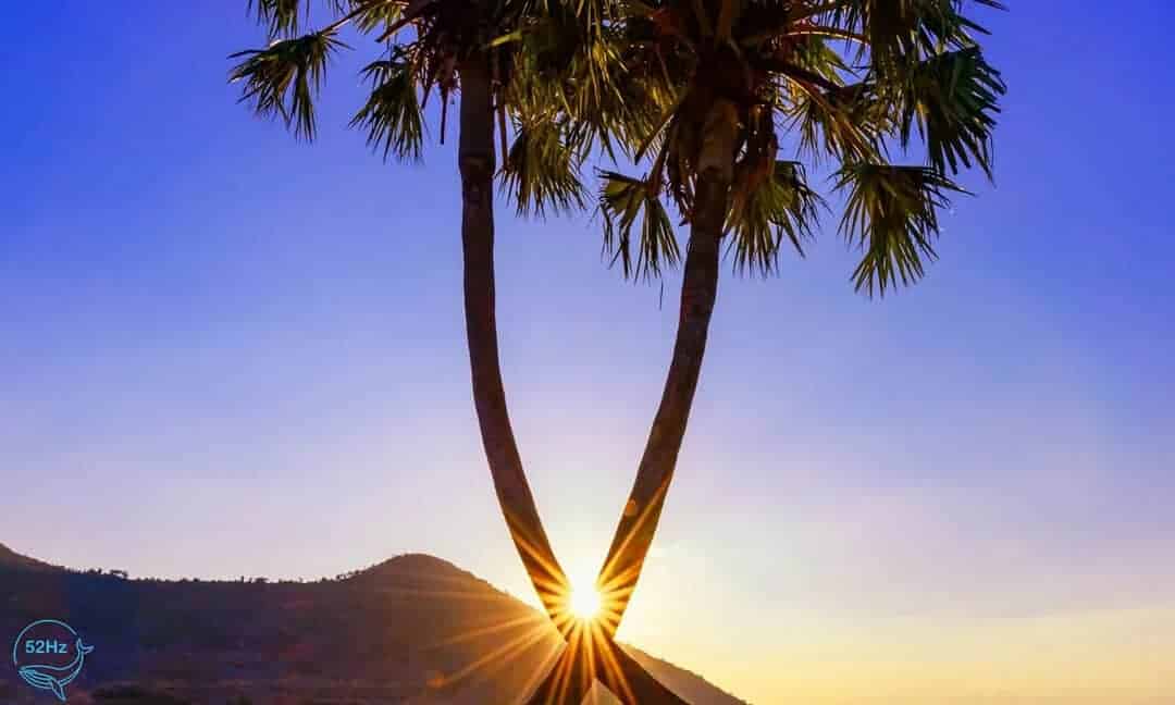 Chỗ chụp hình ở tây ninh