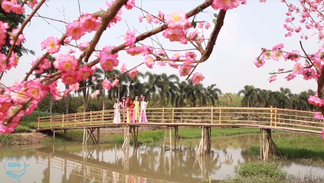 Chỗ chụp hình ở tây ninh