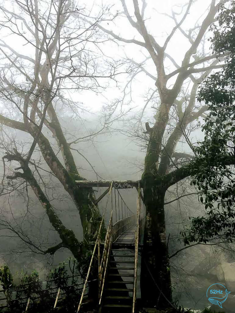 Khung cảnh hoang sơ, huyền bí