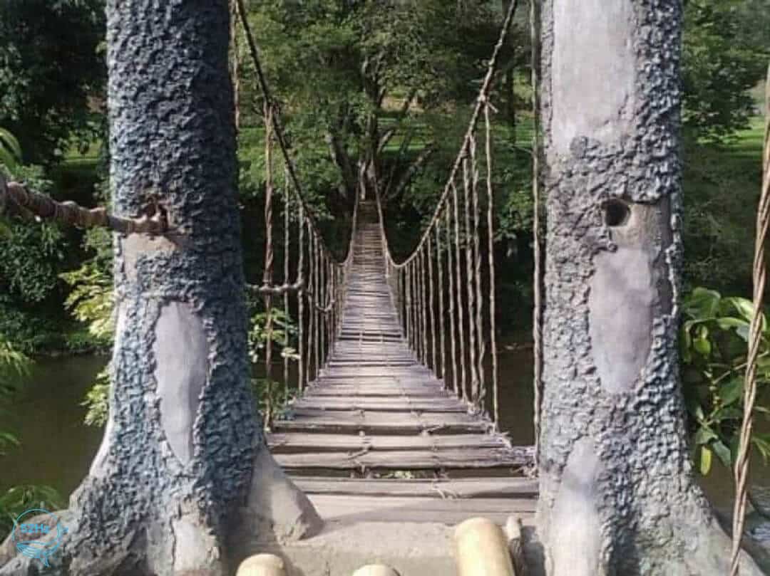 Kết cấu độc đáo và mới lạ