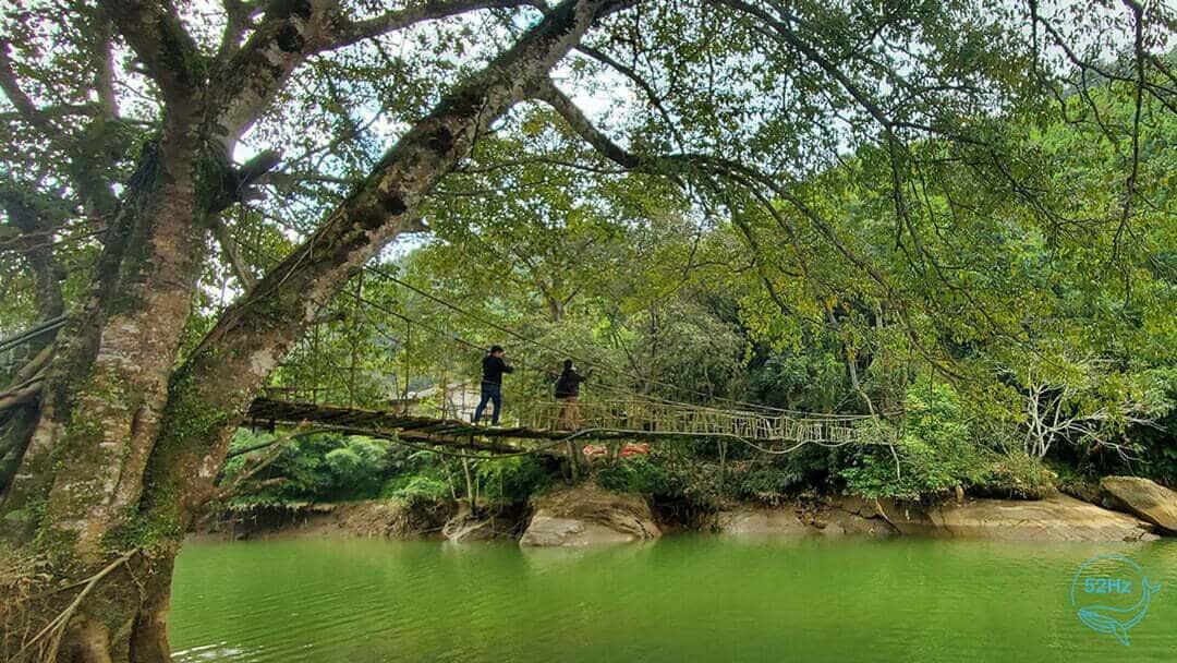 Giới thiệu về cây cầu Mây Sapa
