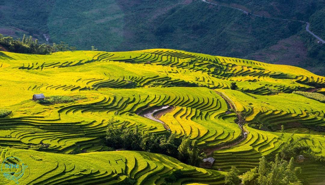 Vị trí Y Tý ở đâu?