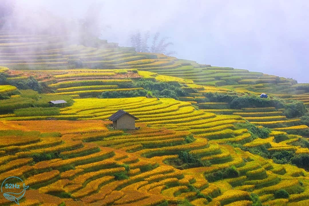 Du lịch Y Tý vào mùa nào sẽ đẹp nhất?