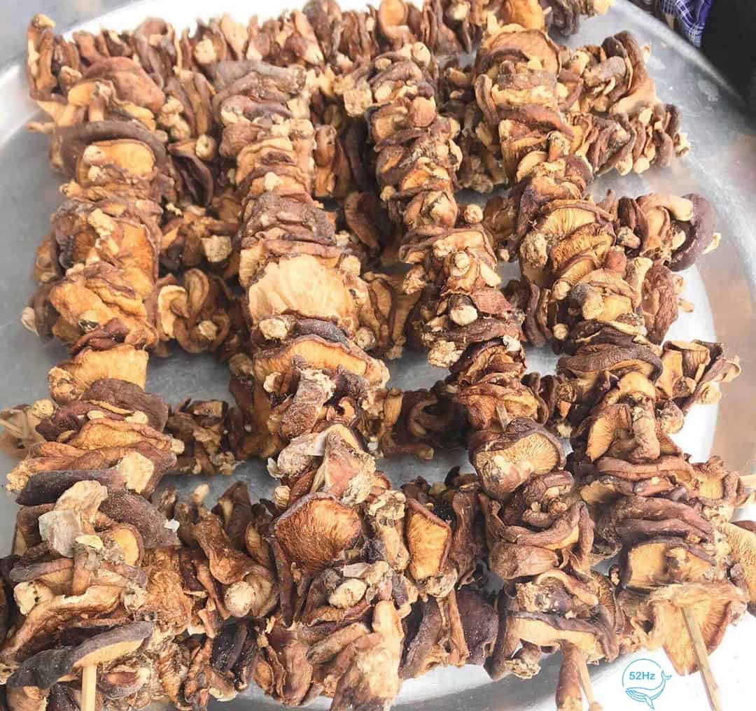 Nấm hương Y Tý