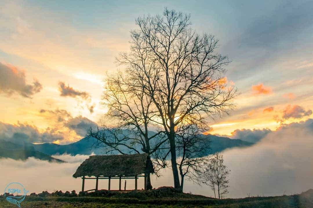 Gợi ý cho bạn Lịch trình du lịch Y Tý 3 ngày 2 đêm