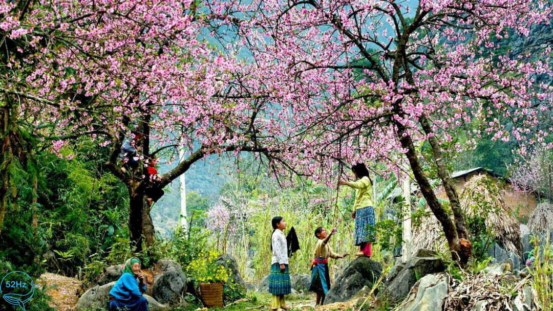 Vườn Đào.