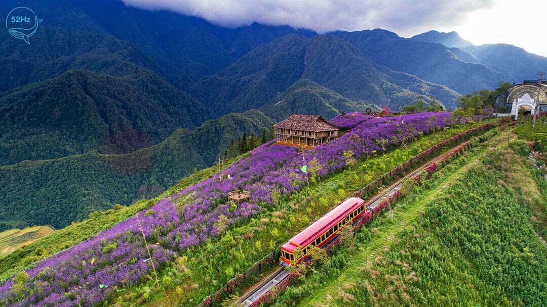 Thung lũng Mường Hoa ở đâu?