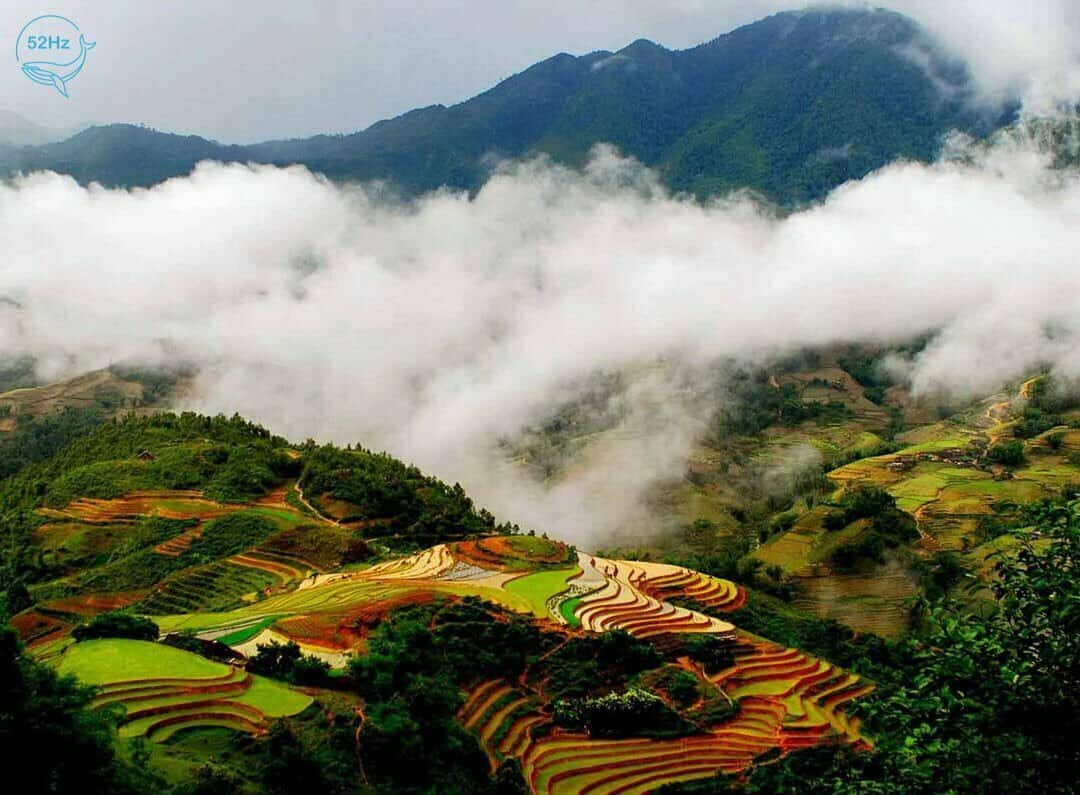 Khám phá vẻ đẹp của thung lũng Mường Hoa