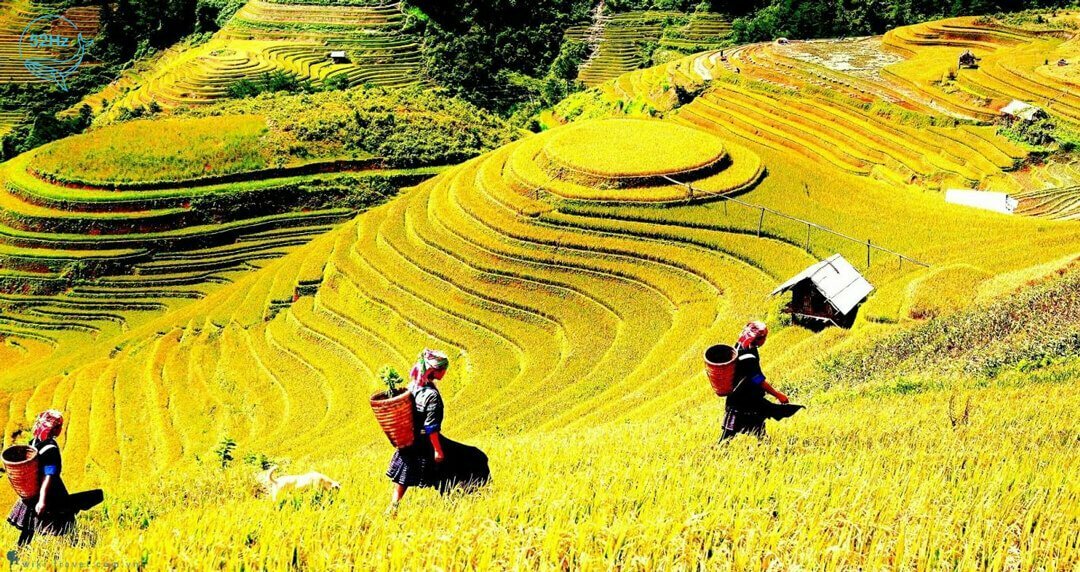Trải nghiệm cuộc sống của người dân