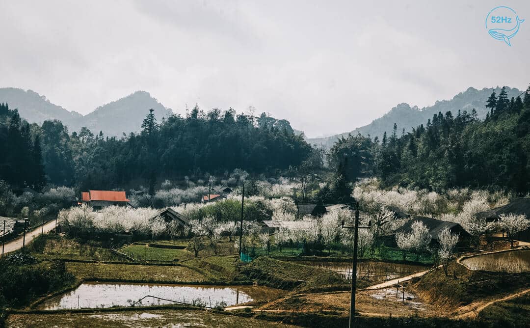 Giới thiệu về Bản Tả Van Sapa
