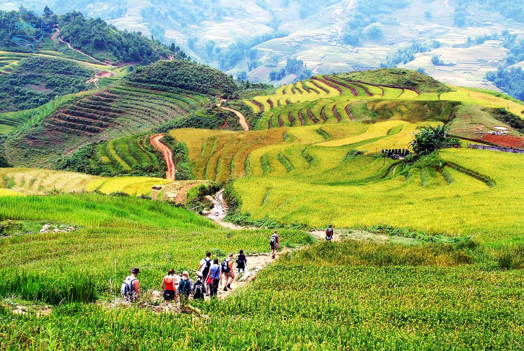 Tham quan ruộng bậc thang