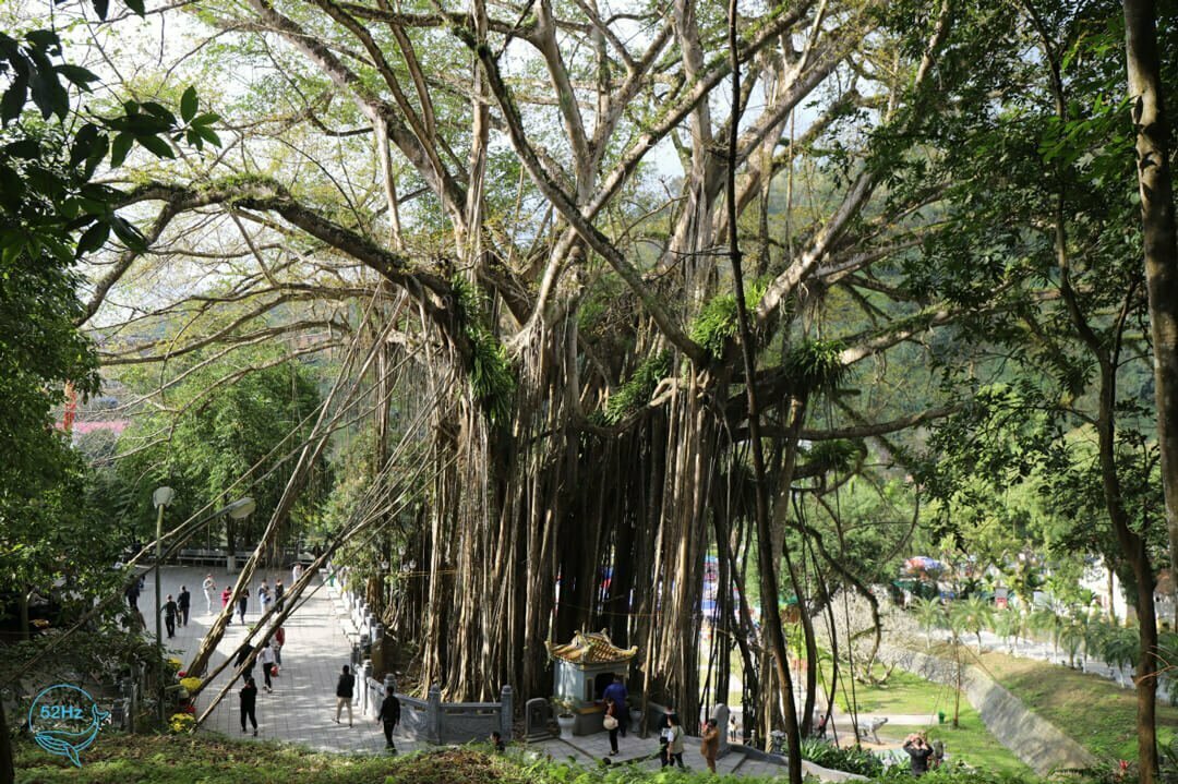Khám phá không gian bên trong đền Thượng Lào Cai