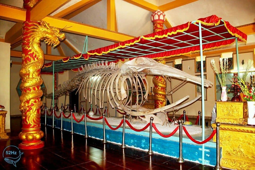 Giá vé tham quan và giờ mở cửa