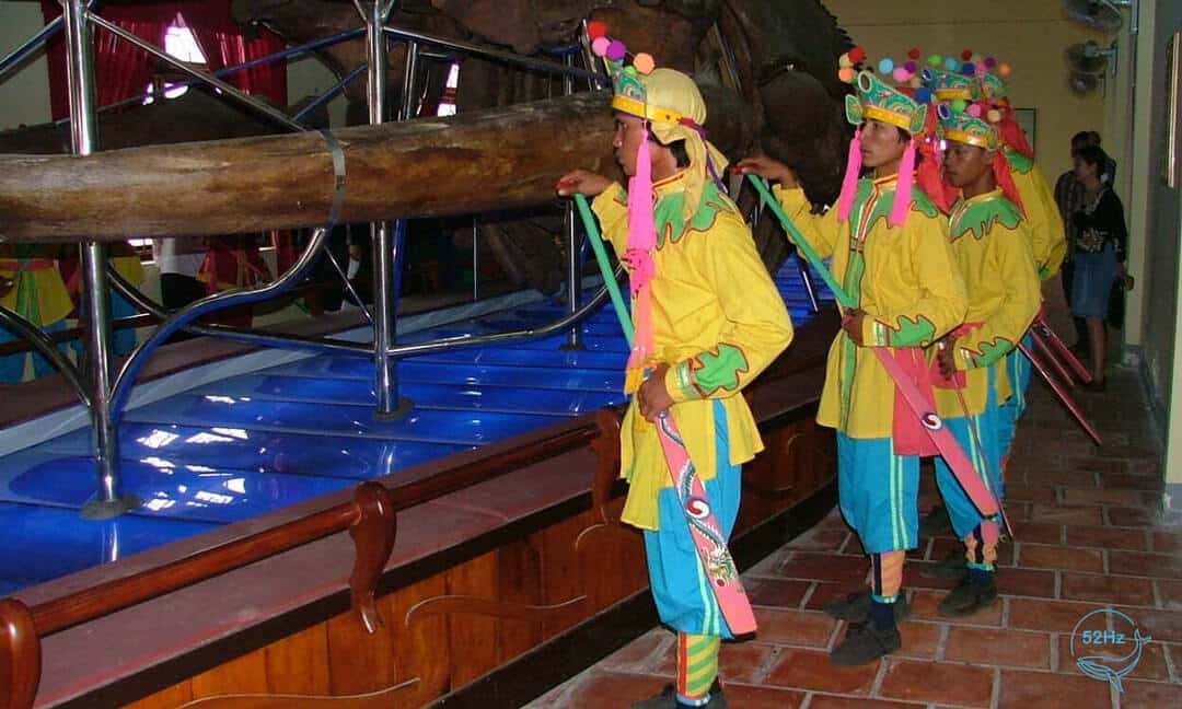 Câu chuyện về tín ngưỡng thờ cá Ông