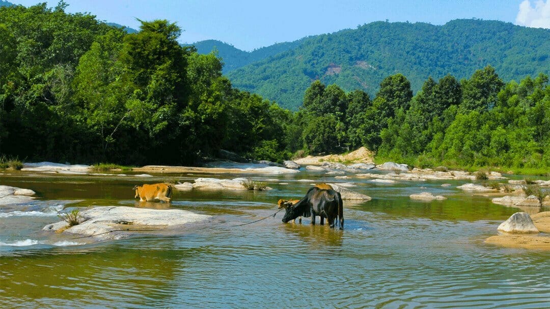 Suối Đá Giăng - Điểm đến gần gũi cho ngày hè oi bức