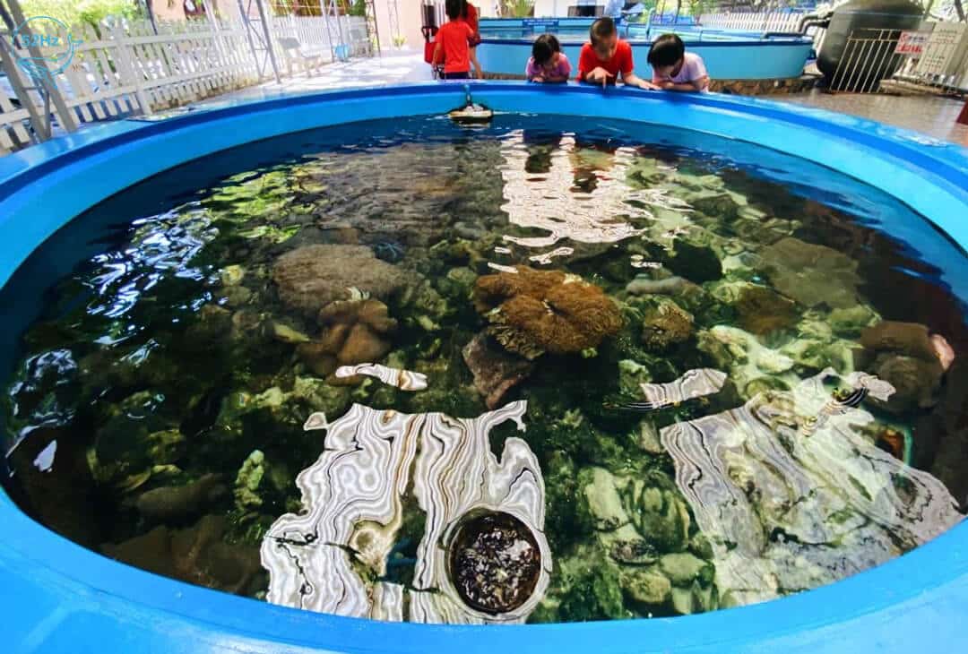 Cách di chuyển đến Viện Hải dương học Nha Trang
