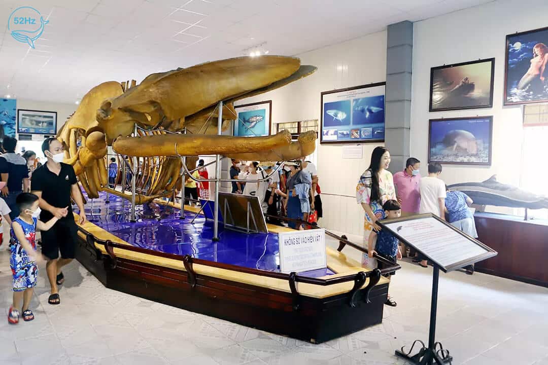 Tham quan khu trưng bày sinh vật biển