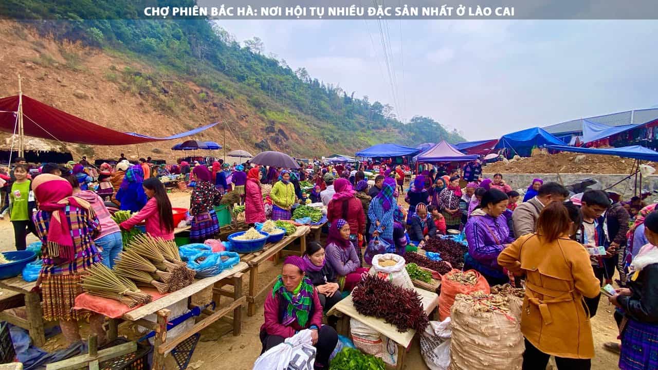 Chợ Phiên Bắc Hà - Nơi Hội Tụ Nhiều Đặc Sản Nhất Ở Lào Cai