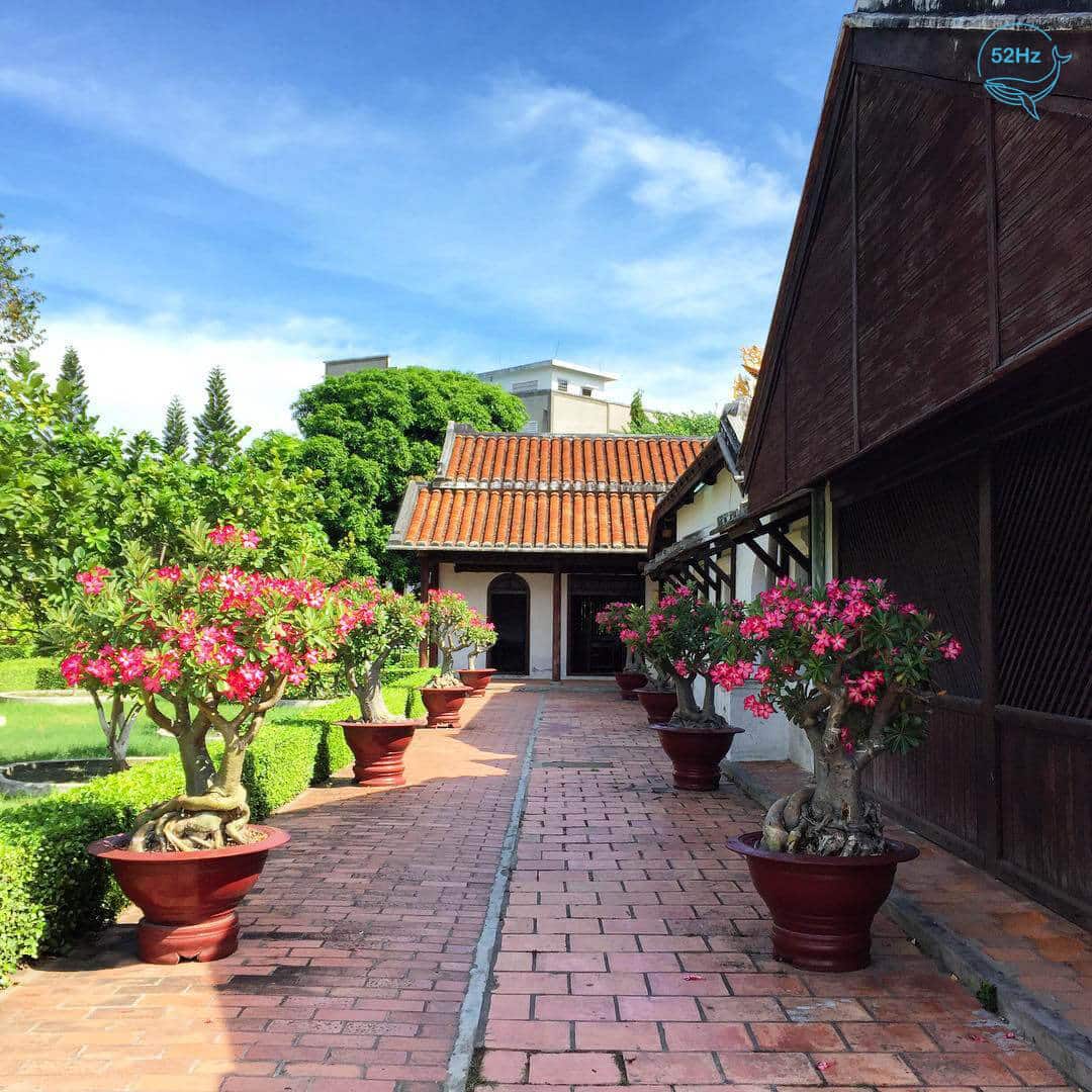 Thiết kế sau sân vườn của ngôi trường cổ