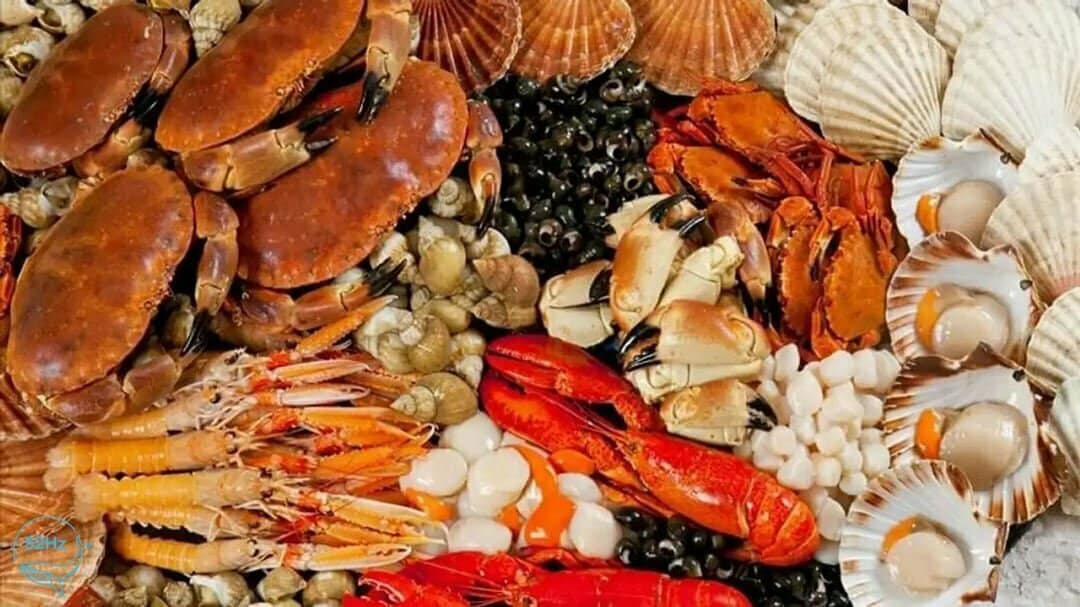 Ăn gì khi du lịch Hòn Rơm Mũi Né?