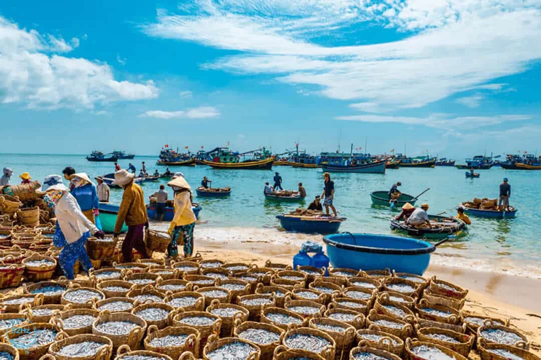 Tìm hiểu và hòa mình vào đời sống của người dân làng chài