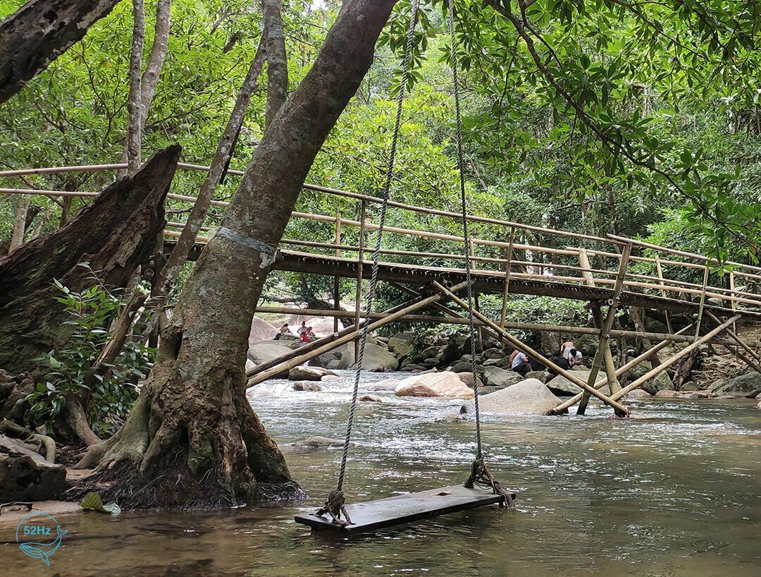 Xích đu giữa suối