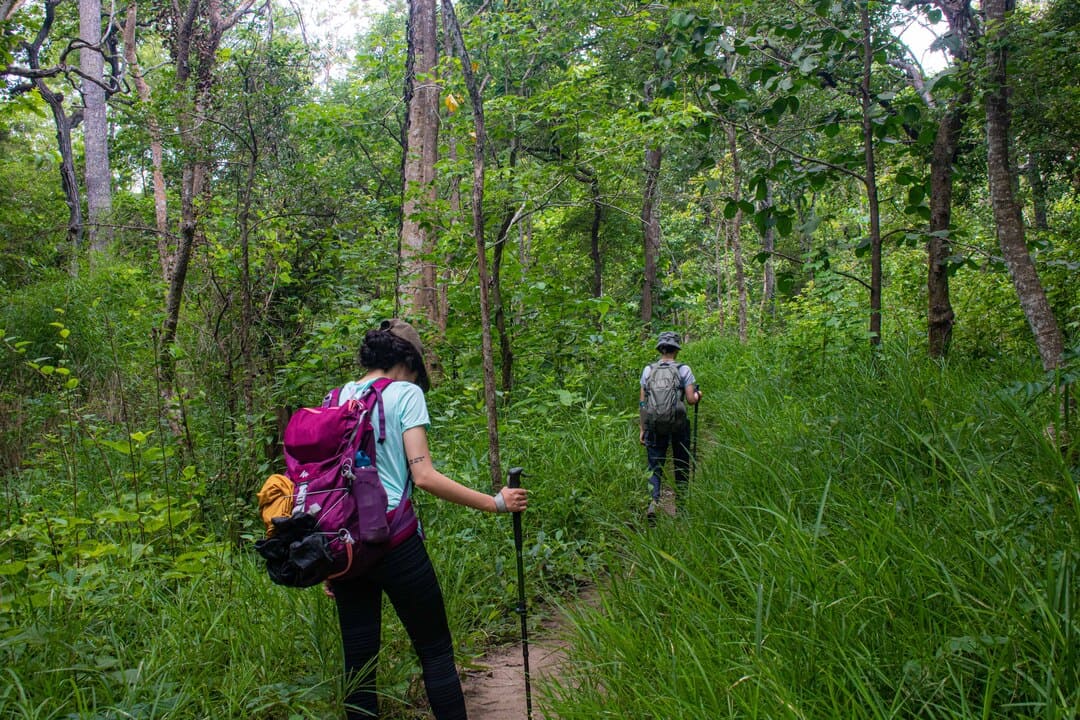 Tà Đùng là một trong những cung đường trekking Tây Nguyên đẹp nhất. 