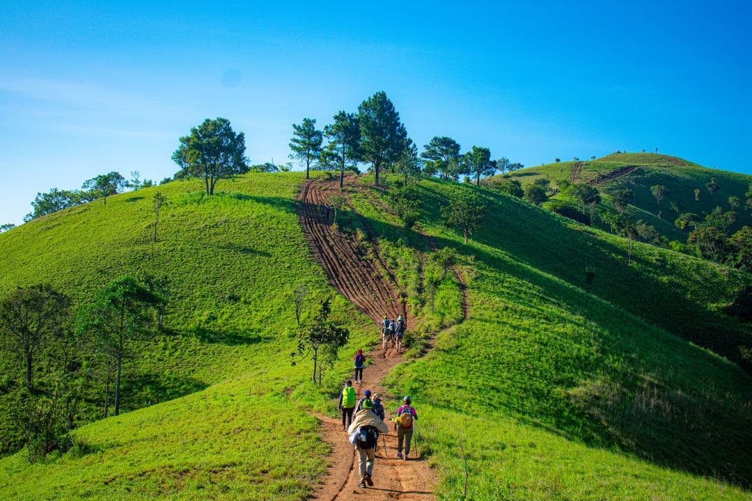 Tà Năng - Phan Dũng: Tour trekking huyền thoại tại 52Hz