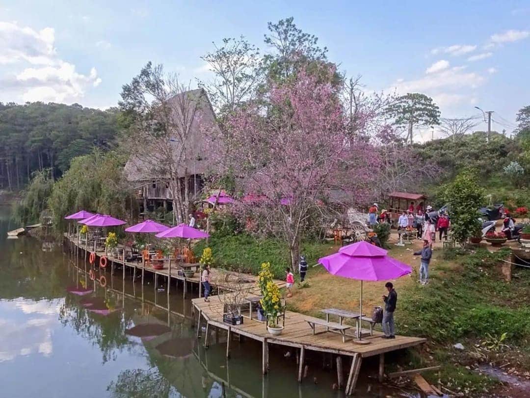 Măng Đen - "Đà Lạt thứ hai" cùng vẻ đẹp làm xiêu lòng nhiều người