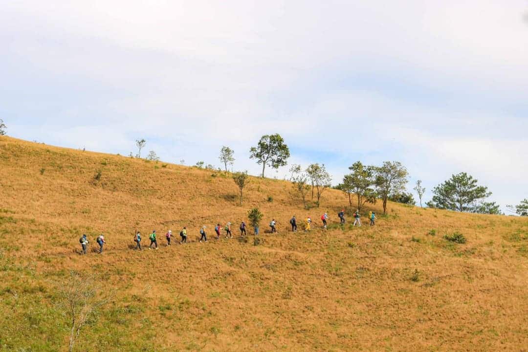 Mùa cỏ úa nên thơ cũng đẹp không kém