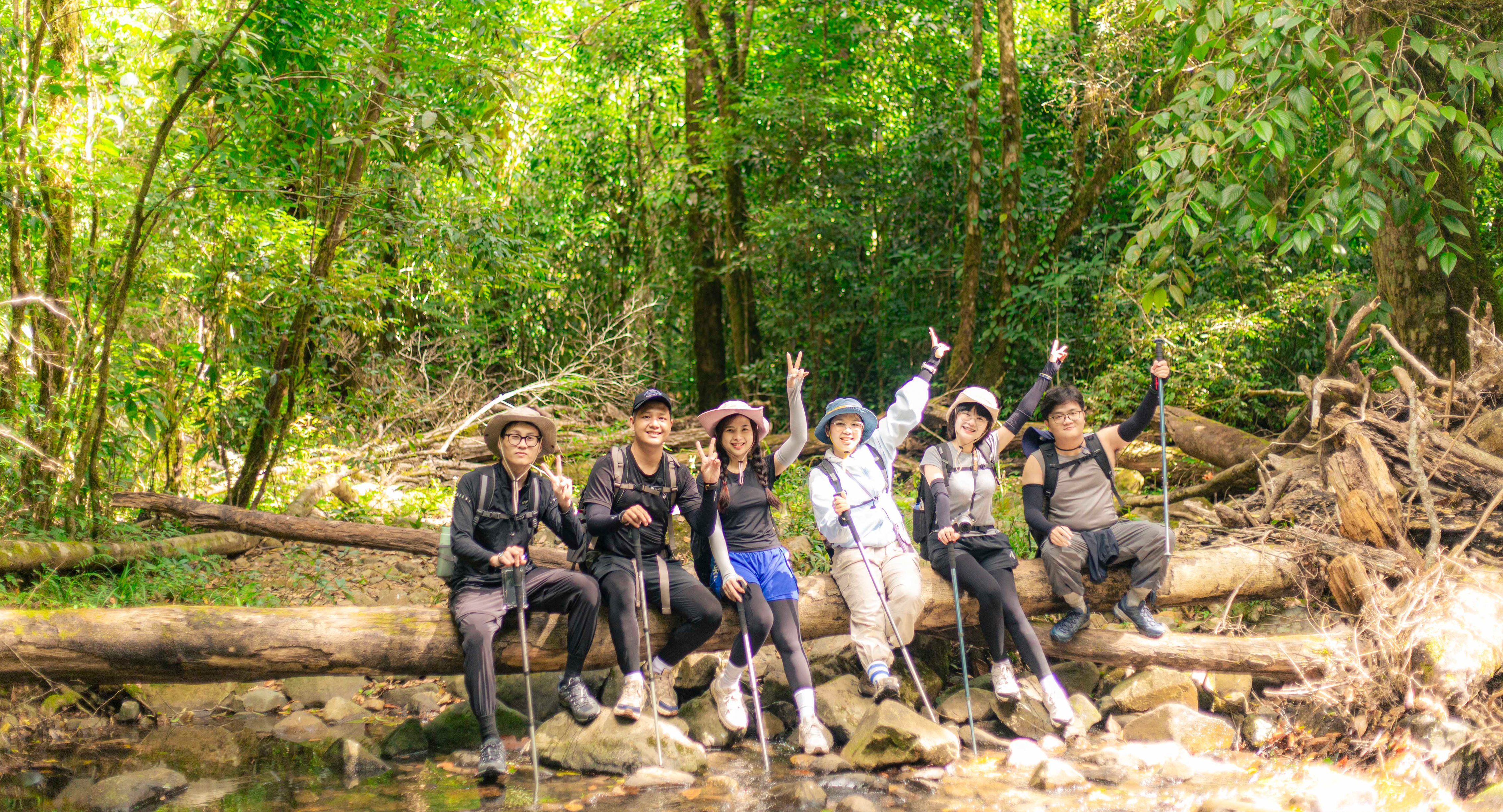 Tính Chất Tour