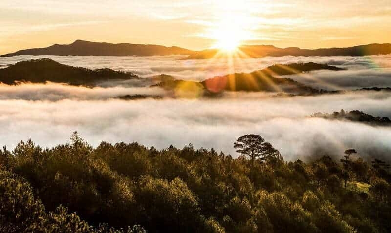 Sớm thức giấc ở một nơi xa, cảm nhận thời tiết se lạnh đặc trưng của vùng đất Đà Lạt